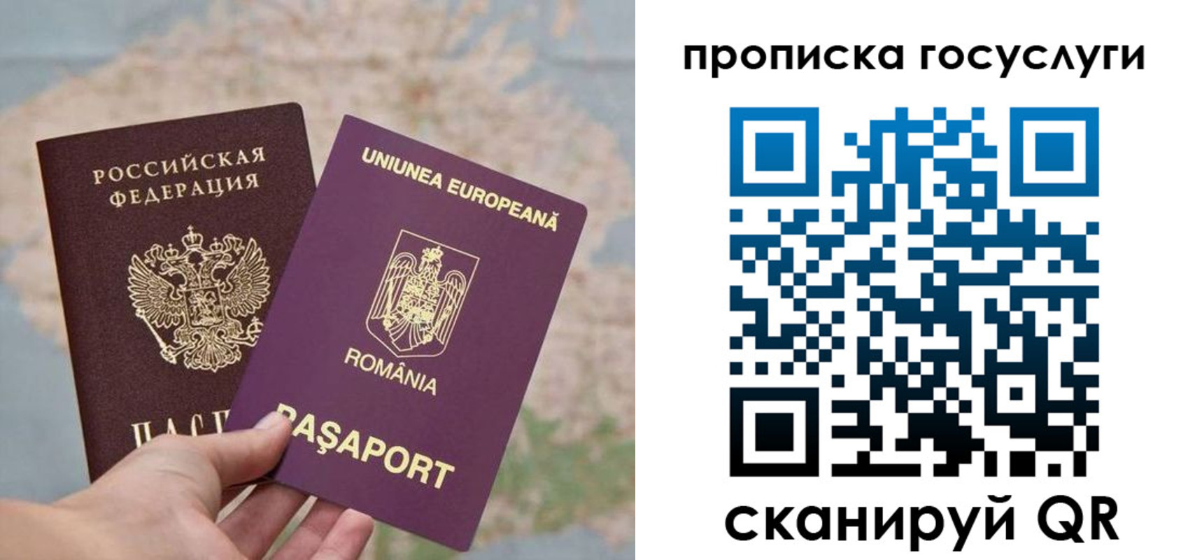 прописка паспорт в Камышлове